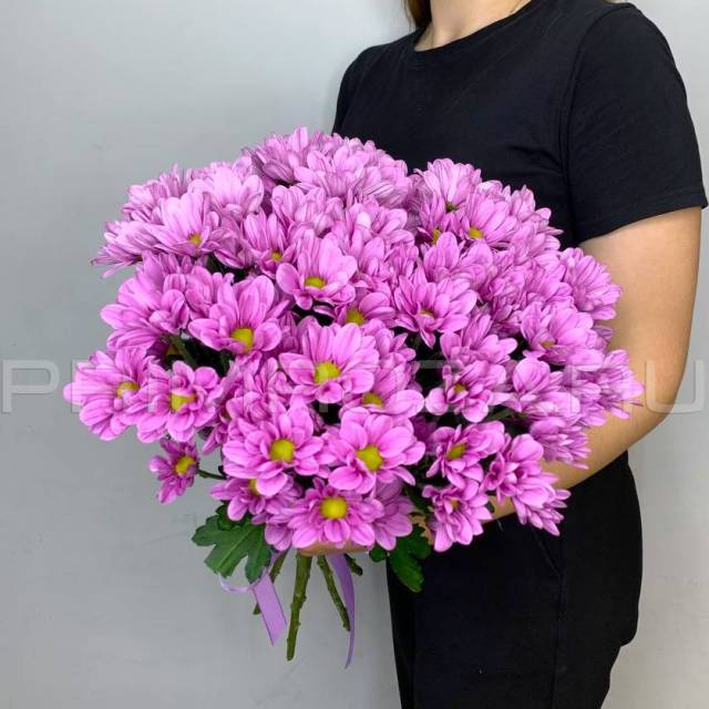 Букет из сиреневых хризантем #H6506