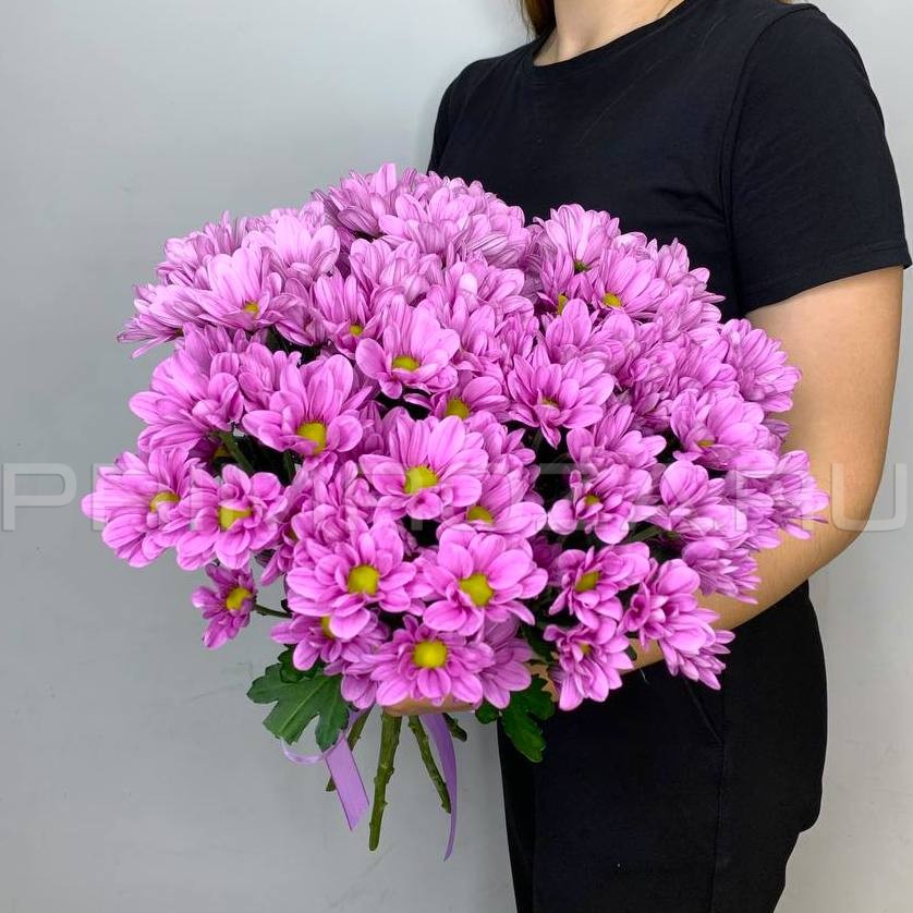 Букет из сиреневых хризантем #H6506