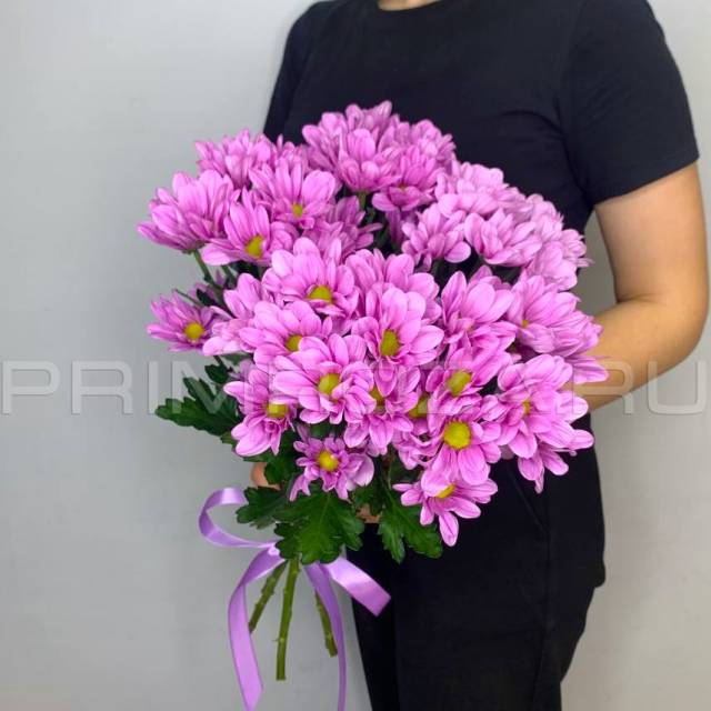 Букет из сиреневых хризантем #H6506