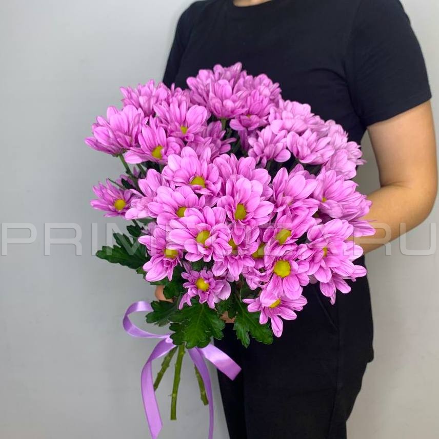 Букет из сиреневых хризантем #H6506
