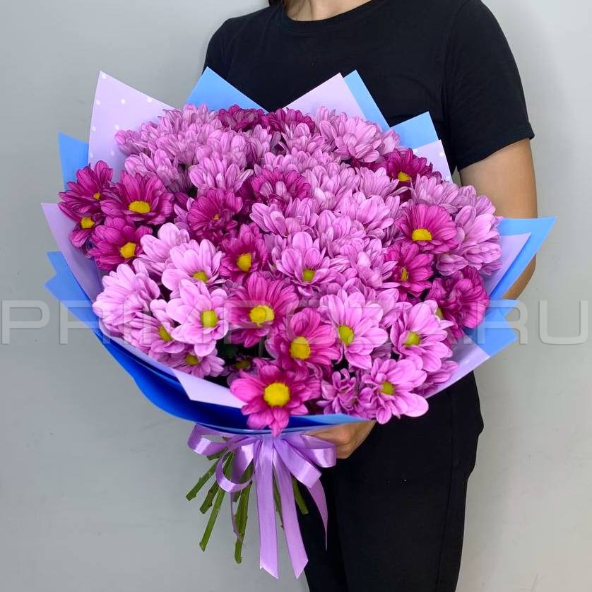 Монобукет из 15 хризантем в упаковке #H6846