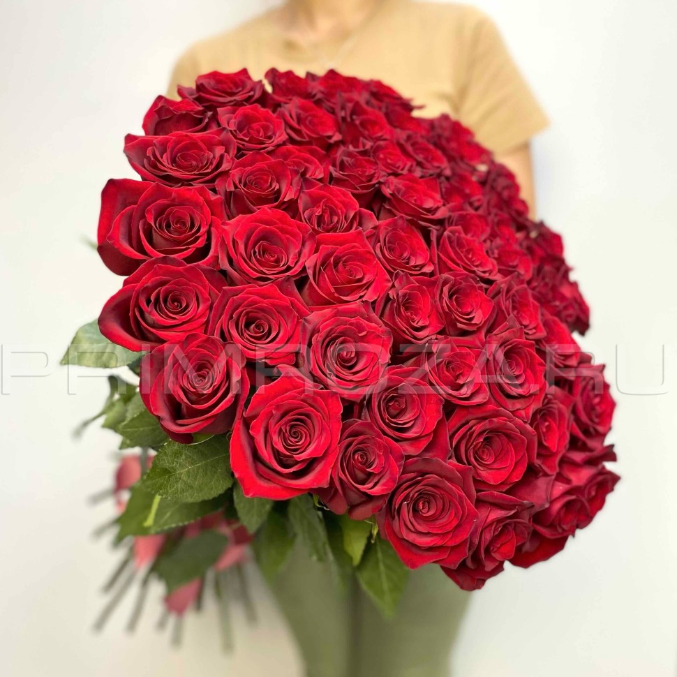 51 роза Эквадор #R6384