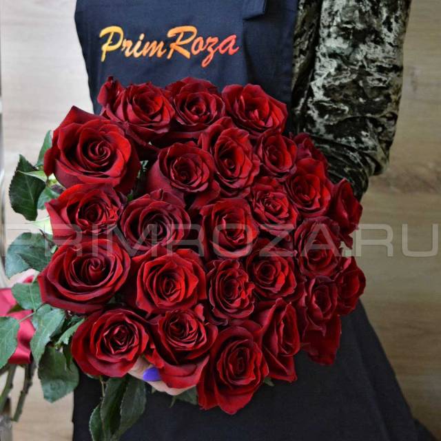 25 роз ЭКВАДОР #R041