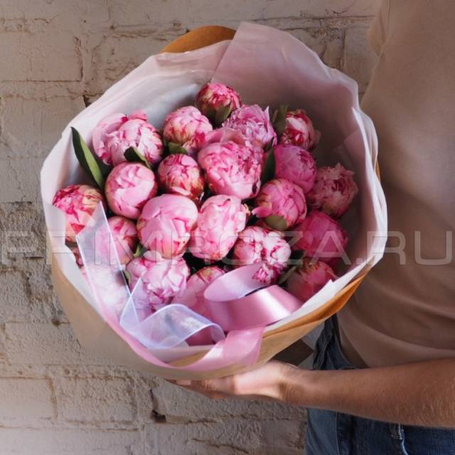 Пионы #P001