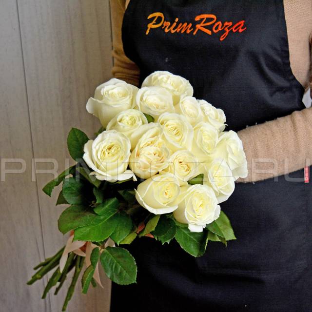 15 роз ЭКВАДОР#R015