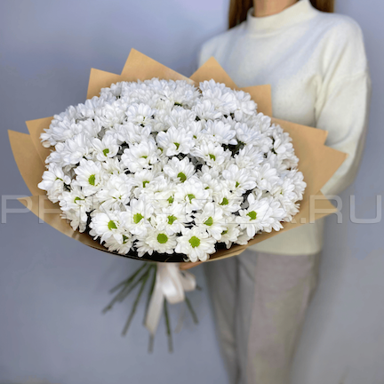 Букет из 15 ромашковых хризантем