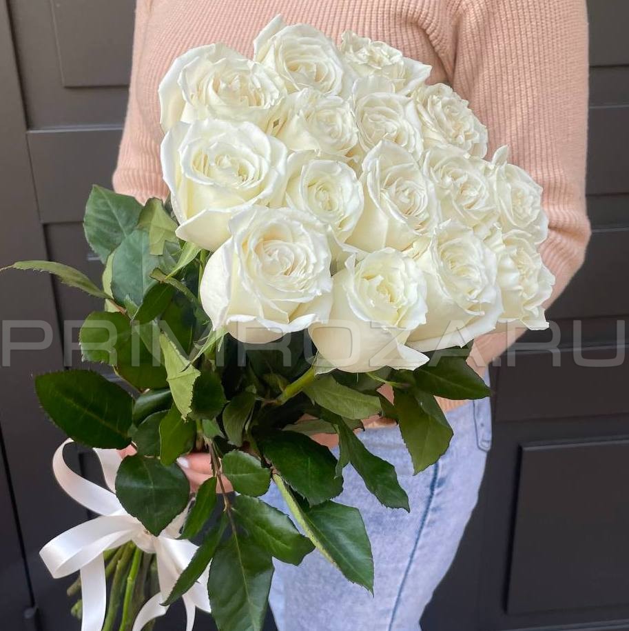 15 белых Эквадоских роз #R15254 