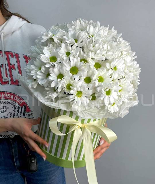 Сборный букет с хризантемой в тубусе #A2059