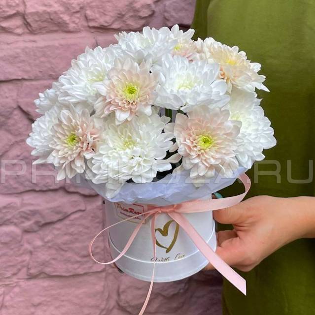 Нежная композиция из хризантемы