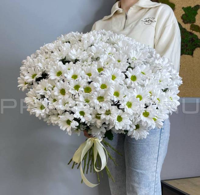 Букет из 25 ромашковой хризантемы #A2525 