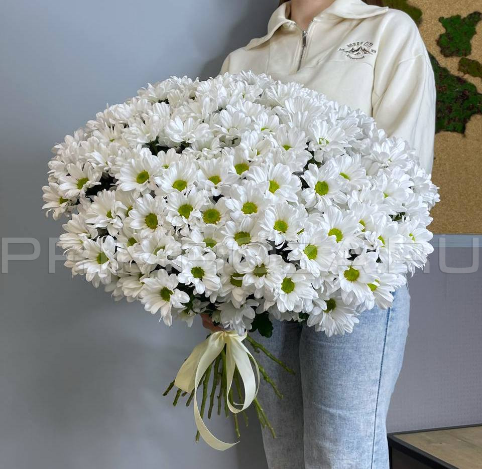 Букет из 25 ромашковой хризантемы #A2525 