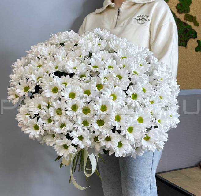 Букет из 25 ромашковой хризантемы #A2525 