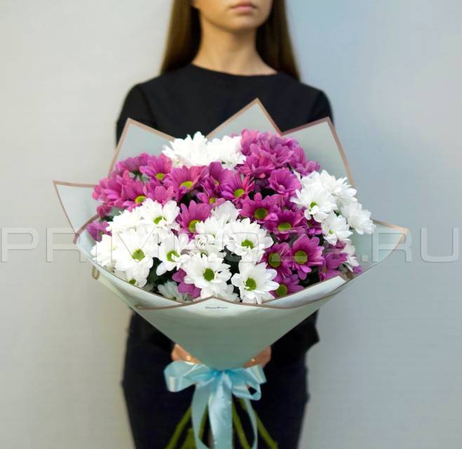 Букет из 9 кустовых хризантем #H091