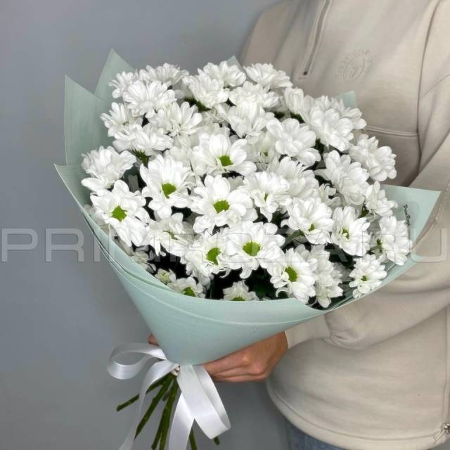 Букет из 7 ромашковых хризантем #DM11