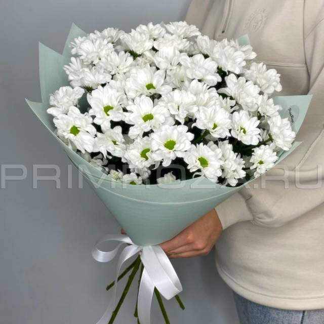 Букет из 7 ромашковых хризантем #DM11