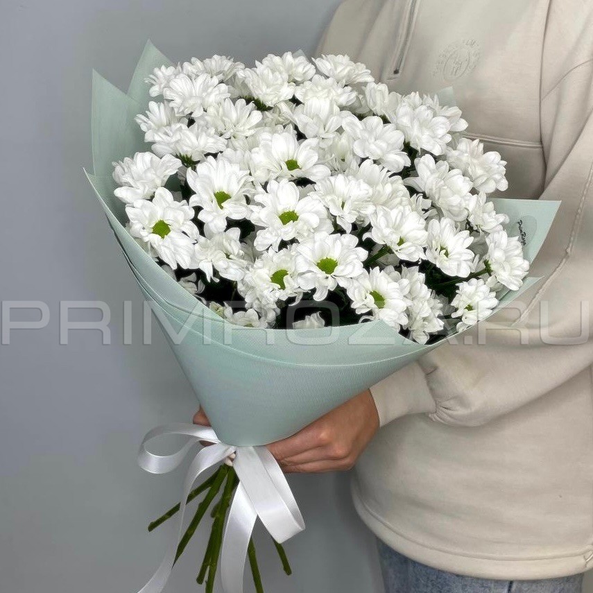 Букет из 7 ромашковых хризантем #DM11