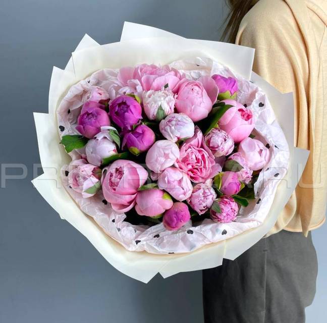 Пионы #P0025