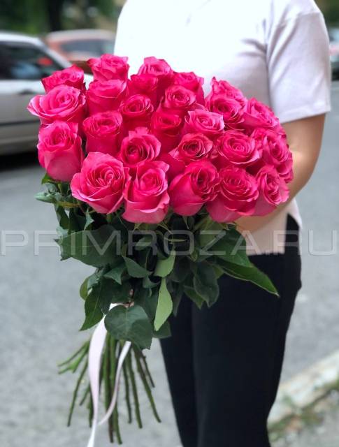 Малиновые высокие розы Эквадор#R4544 