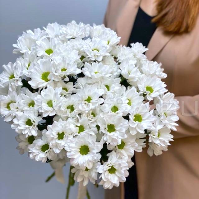  Букет из белых хризантем #H1318